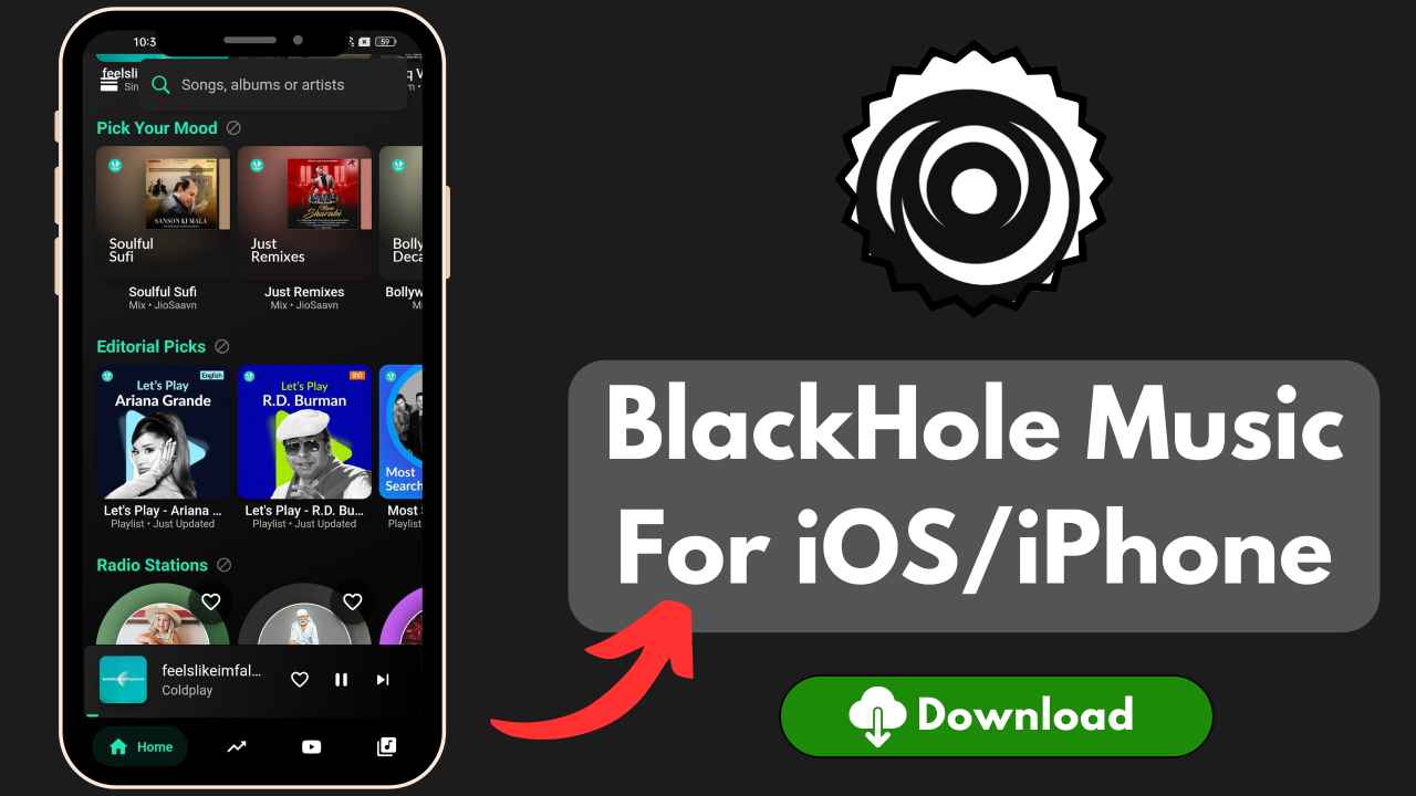 BlackHole Music For iOS