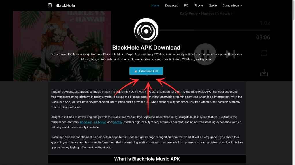 Download and Install BlackHole Music App For Android TV 1